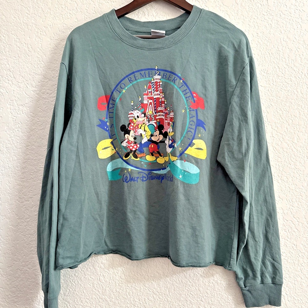Disney Parks 25th Anniversary Birthday Cake Castle Cropped Pullover Sage Green L